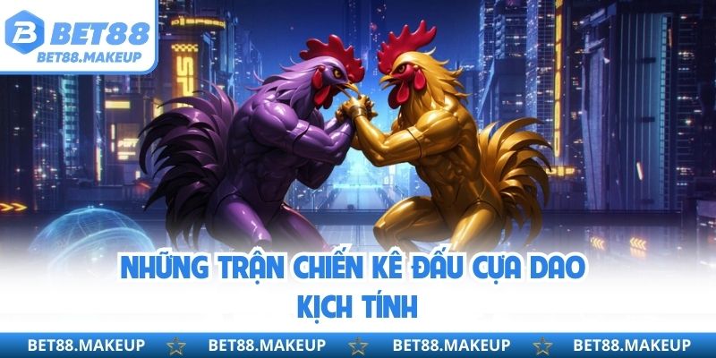 Những trận chiến kê đấu cựa dao kịch tính